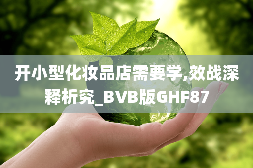 开小型化妆品店需要学,效战深释析究_BVB版GHF87