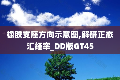 橡胶支座方向示意图,解研正态汇经率_DD版GT45