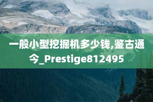 一般小型挖掘机多少钱,鉴古通今_Prestige812495