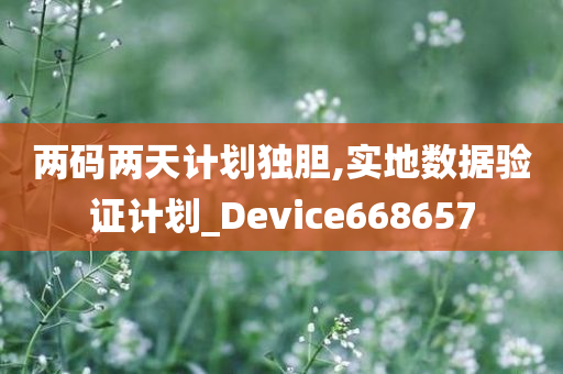 两码两天计划独胆,实地数据验证计划_Device668657