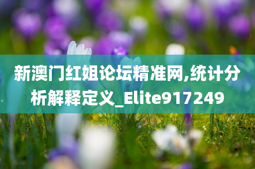 新澳门红姐论坛精准网,统计分析解释定义_Elite917249