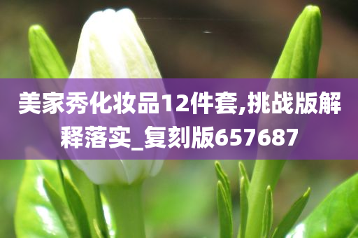 美家秀化妆品12件套,挑战版解释落实_复刻版657687