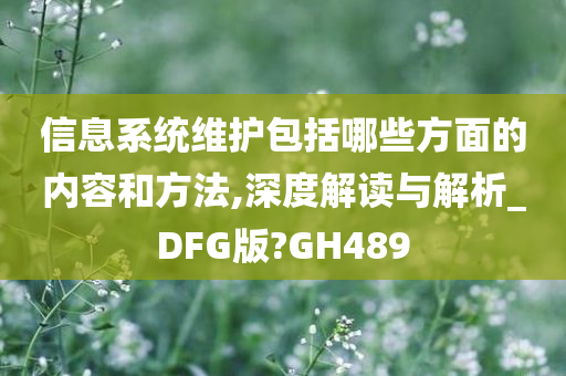 信息系统维护包括哪些方面的内容和方法,深度解读与解析_DFG版?GH489