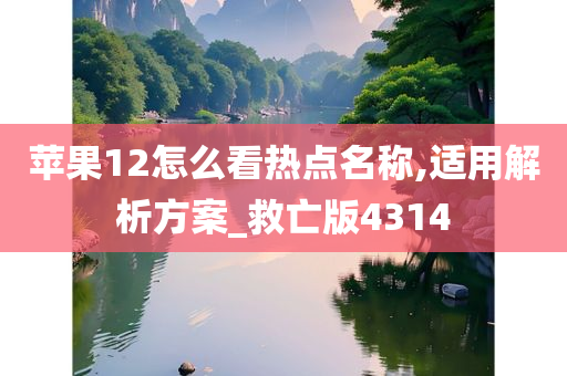 苹果12怎么看热点名称,适用解析方案_救亡版4314