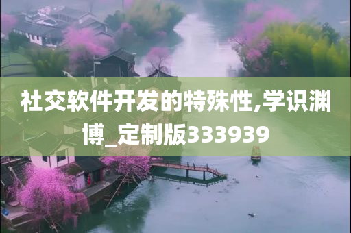 社交软件开发的特殊性,学识渊博_定制版333939