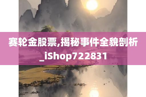 赛轮金股票,揭秘事件全貌剖析_iShop722831