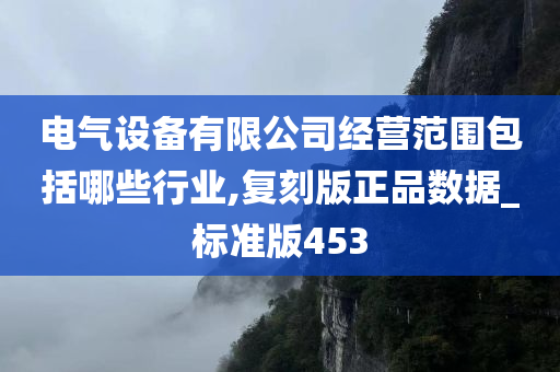 电气设备有限公司经营范围包括哪些行业,复刻版正品数据_标准版453