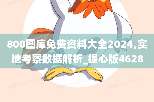 800图库免费资料大全2024,实地考察数据解析_提心版4628