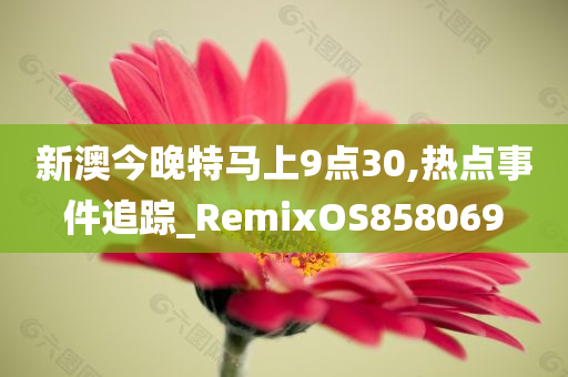 新澳今晚特马上9点30,热点事件追踪_RemixOS858069