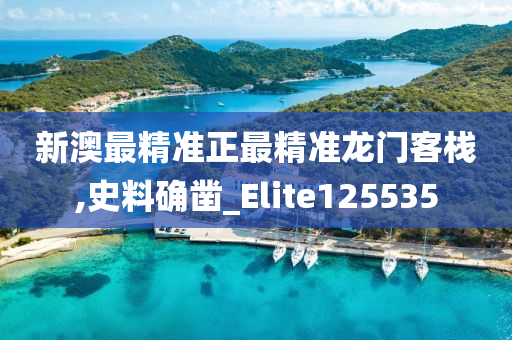 新澳最精准正最精准龙门客栈,史料确凿_Elite125535