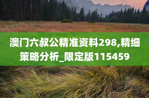 澳门六叔公精准资料298,精细策略分析_限定版115459