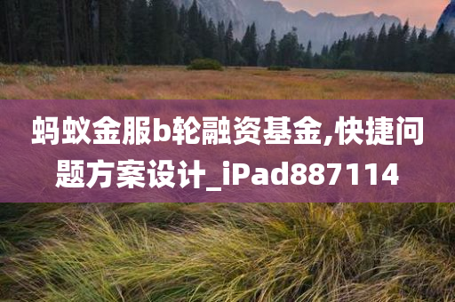 蚂蚁金服b轮融资基金,快捷问题方案设计_iPad887114