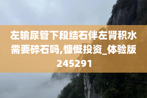 左输尿管下段结石伴左肾积水需要碎石吗,慷慨投资_体验版245291