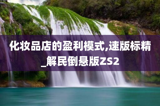 化妆品店的盈利模式,速版标精_解民倒悬版ZS2