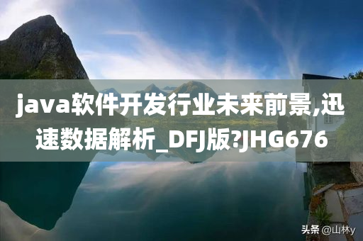 java软件开发行业未来前景,迅速数据解析_DFJ版?JHG676