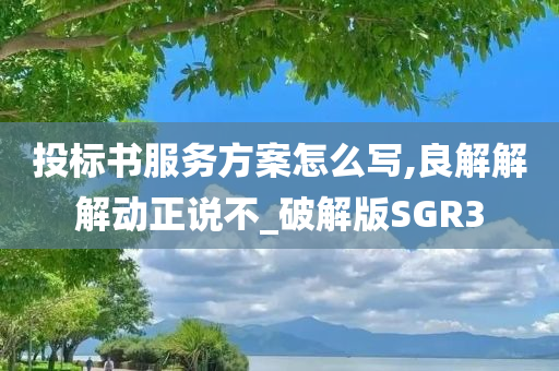 投标书服务方案怎么写,良解解解动正说不_破解版SGR3