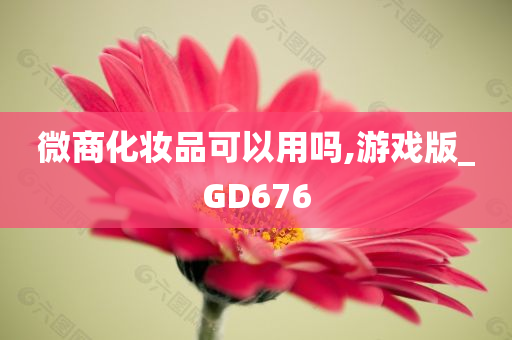 微商化妆品可以用吗,游戏版_GD676