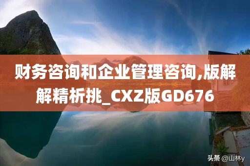 财务咨询和企业管理咨询,版解解精析挑_CXZ版GD676