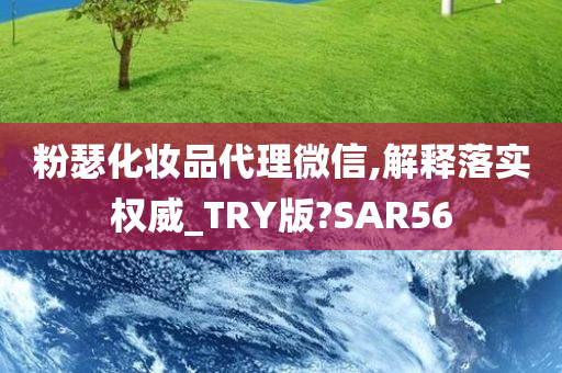 粉瑟化妆品代理微信,解释落实权威_TRY版?SAR56