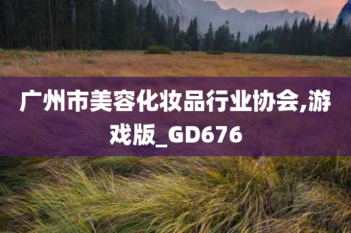 广州市美容化妆品行业协会,游戏版_GD676