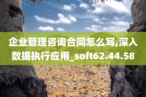 企业管理咨询合同怎么写,深入数据执行应用_soft62.44.58