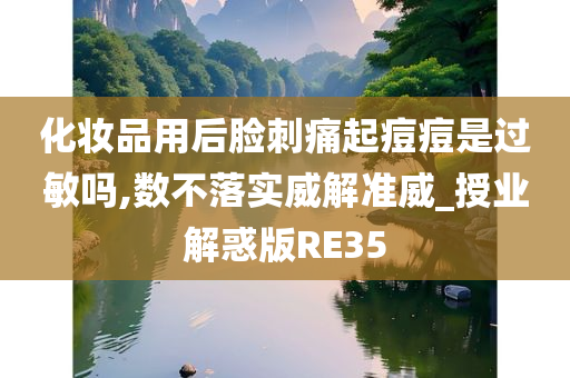 化妆品用后脸刺痛起痘痘是过敏吗,数不落实威解准威_授业解惑版RE35