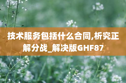 技术服务包括什么合同,析究正解分战_解决版GHF87