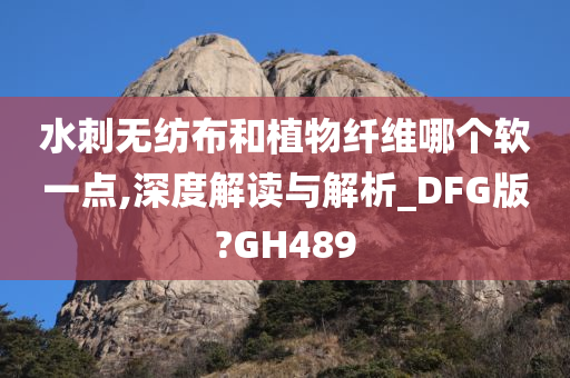 水刺无纺布和植物纤维哪个软一点,深度解读与解析_DFG版?GH489