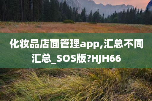 化妆品店面管理app,汇总不同汇总_SOS版?HJH66