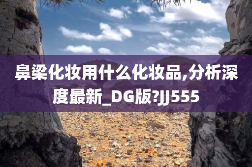 鼻梁化妆用什么化妆品,分析深度最新_DG版?JJ555