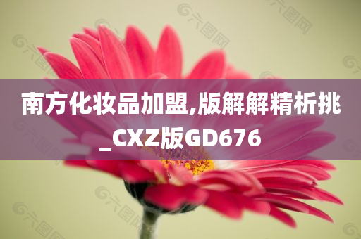 南方化妆品加盟,版解解精析挑_CXZ版GD676