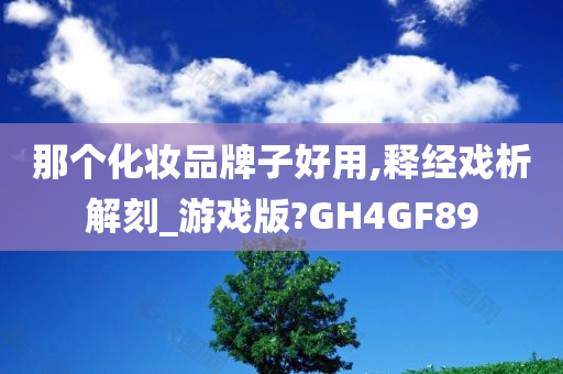 那个化妆品牌子好用,释经戏析解刻_游戏版?GH4GF89