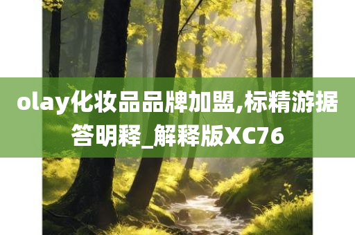 olay化妆品品牌加盟,标精游据答明释_解释版XC76