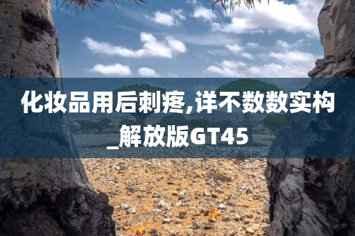 化妆品用后刺疼,详不数数实构_解放版GT45