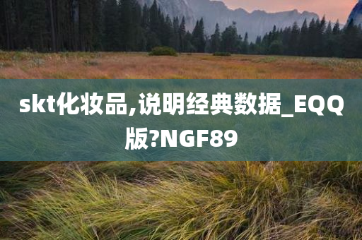 skt化妆品,说明经典数据_EQQ版?NGF89