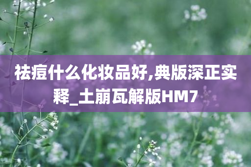 祛痘什么化妆品好,典版深正实释_土崩瓦解版HM7