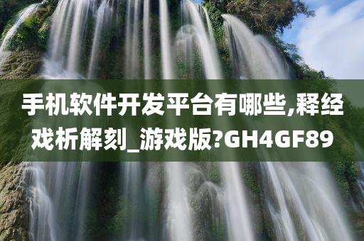 手机软件开发平台有哪些,释经戏析解刻_游戏版?GH4GF89