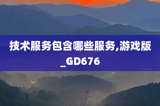 技术服务包含哪些服务,游戏版_GD676