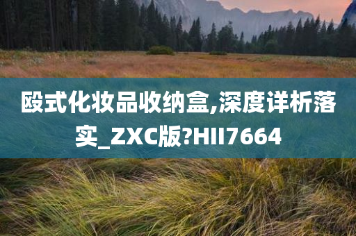 殴式化妆品收纳盒,深度详析落实_ZXC版?HII7664