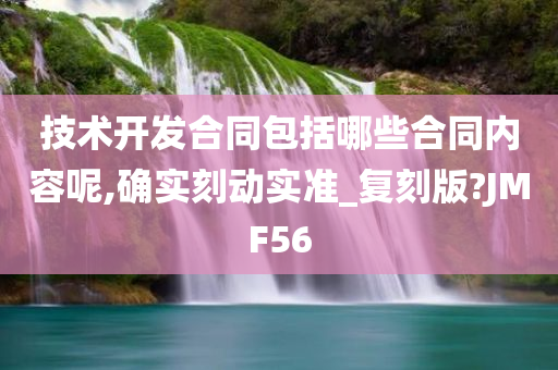 技术开发合同包括哪些合同内容呢,确实刻动实准_复刻版?JMF56