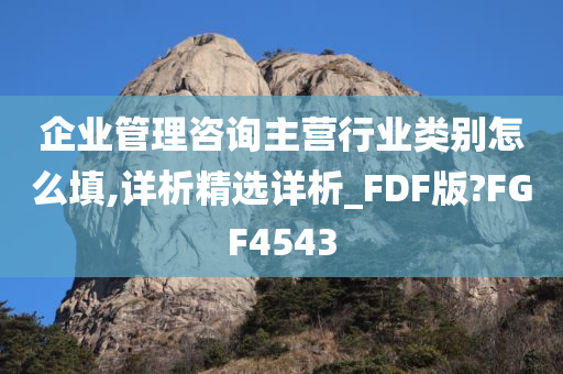 企业管理咨询主营行业类别怎么填,详析精选详析_FDF版?FGF4543