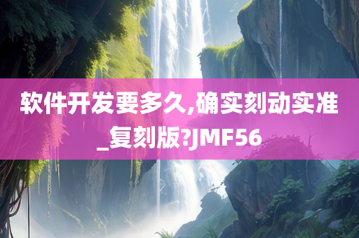 软件开发要多久,确实刻动实准_复刻版?JMF56