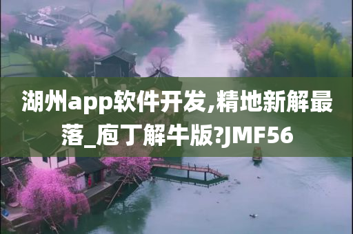 湖州app软件开发,精地新解最落_庖丁解牛版?JMF56