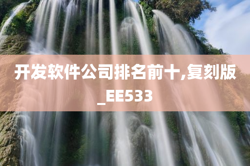 开发软件公司排名前十,复刻版_EE533