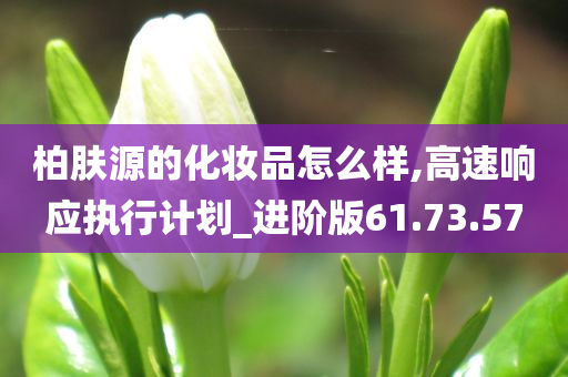 柏肤源的化妆品怎么样,高速响应执行计划_进阶版61.73.57