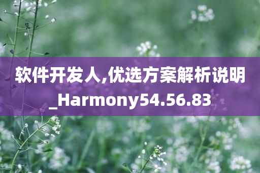 软件开发人,优选方案解析说明_Harmony54.56.83