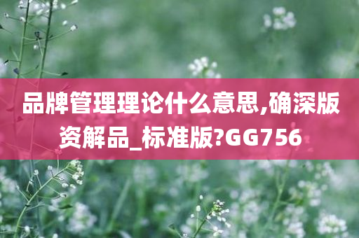 品牌管理理论什么意思,确深版资解品_标准版?GG756