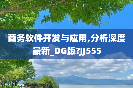 商务软件开发与应用,分析深度最新_DG版?JJ555