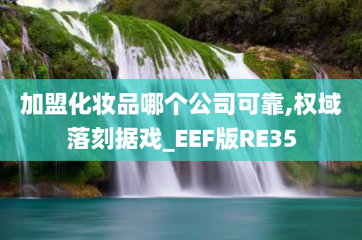 加盟化妆品哪个公司可靠,权域落刻据戏_EEF版RE35