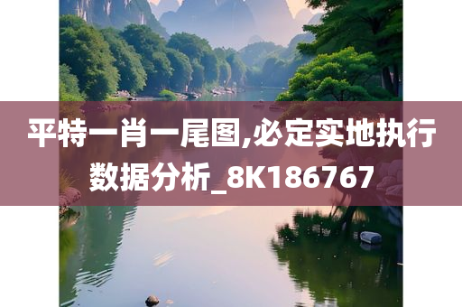 平特一肖一尾图,必定实地执行数据分析_8K186767